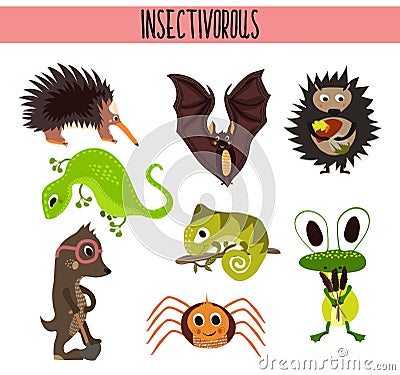 Cartoon Set of Cute Animals insectivores living in different parts of the world forests and tropical jungle .A bat, a lizard, hedg Cartoon Illustration