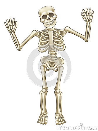 Cartoon Skeleton Character Vector Illustration