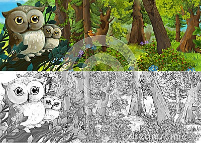 Cartoon sketch scene with owls in the forest illustration Cartoon Illustration