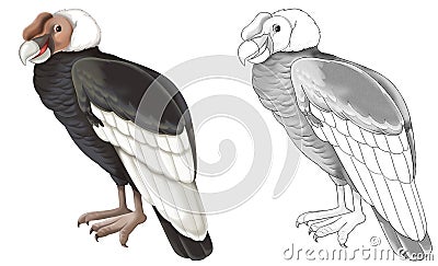 Cartoon sketch scene with vulture condor on white background - illustration Cartoon Illustration