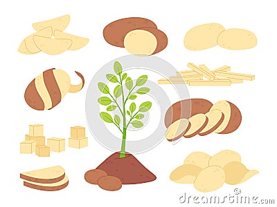 Cartoon sliced potatoes raw ingredients. White potato sticks, slice and cubes. Prepare vegetables for meals. Fresh Vector Illustration