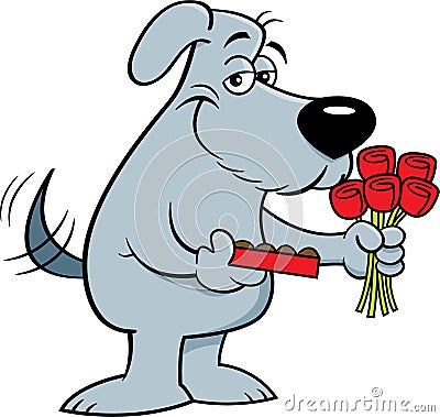 Cartoon smiling dog holding a box of chocolates and a bouquet of roses. Vector Illustration