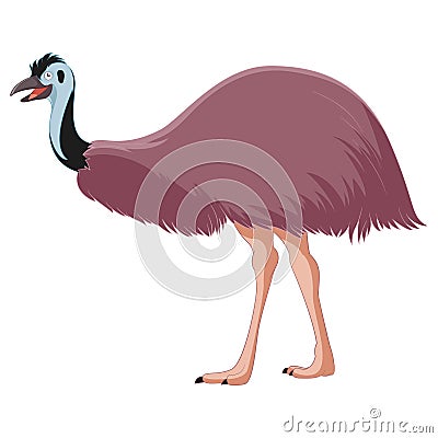 Cartoon smiling Emu Vector Illustration