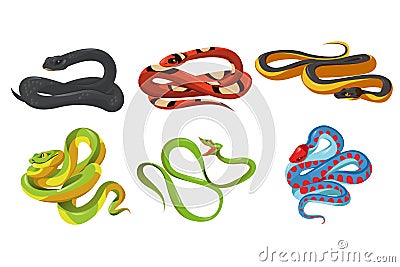 Cartoon snake species isolated vector serpents set Vector Illustration