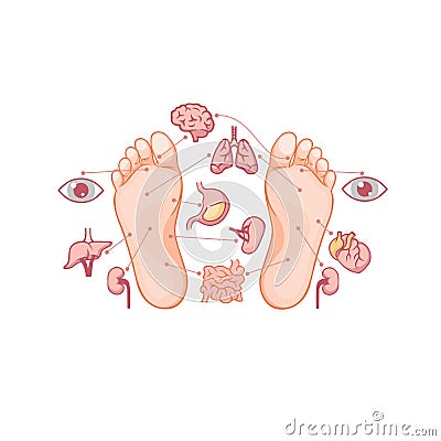 Cartoon soles of feet with marked by reflexology zones for acupuncture organs Vector Illustration
