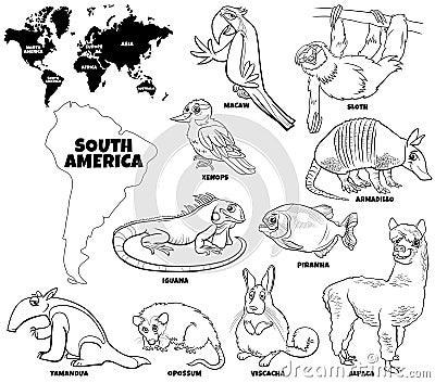 Cartoon South American animals set coloring book page Vector Illustration