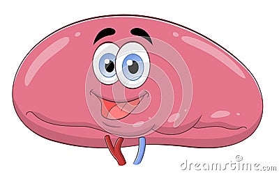 Cartoon spleen Vector Illustration