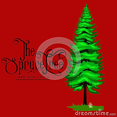 Cartoon spruce summer tree on a white background icon, outdoor park with branch, leafs on green grass vector Vector Illustration