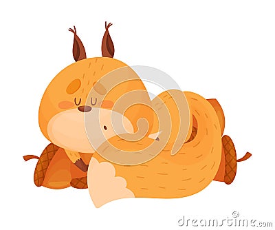 Cartoon Squirrel Animal Sleeping on the Pile of Acorns Vector Illustration Vector Illustration