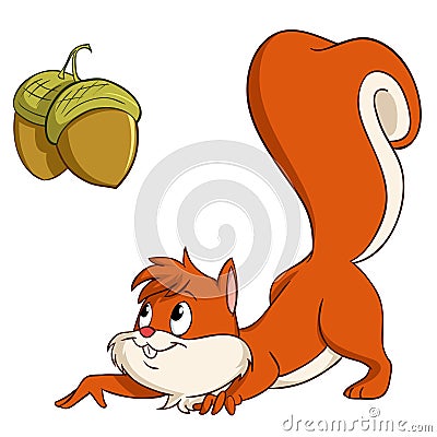 Cartoon squirrel sneak up to nuts Vector Illustration