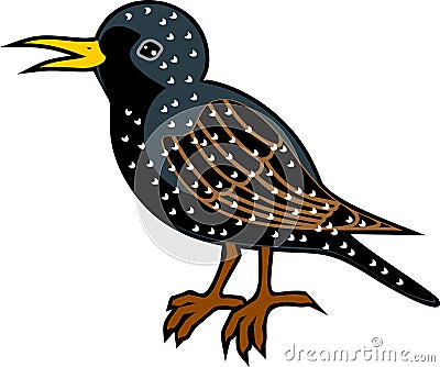 Cartoon starling on white background Stock Photo