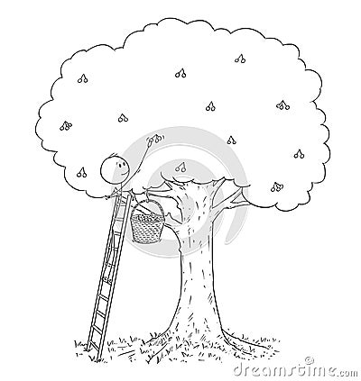 Cartoon of Man on Ladder Picking Fruit From Cherry Tree Vector Illustration