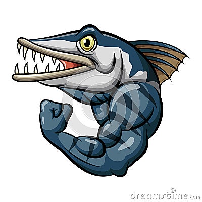 Cartoon strong angry barracuda fish mascot Vector Illustration