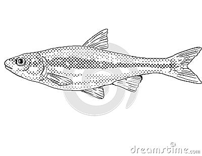 Silverjaw minnow or Ericymba buccata Freshwater Fish Cartoon Drawing Stock Photo