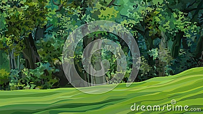 Cartoon thick green deciduous forest with green glade Vector Illustration
