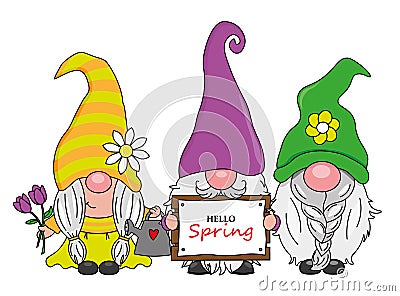 Cartoon three gnomes with flowers and hello spring sign Vector Illustration