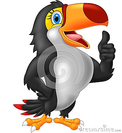 Cartoon toucan gives thumb up Vector Illustration