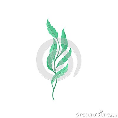 Cartoon tree branch on white background. Flora concept. Vector Illustration