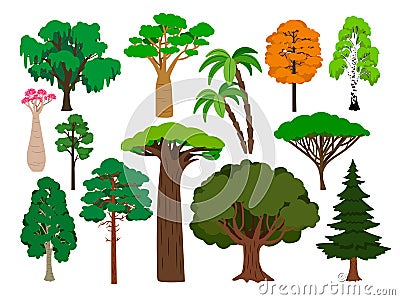 Cartoon trees. Vector green tree set, brachychiton and rowan, palm and willow, maple and poplar Vector Illustration