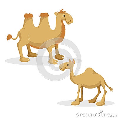 Cartoon trendy style camels set. Dromedary camel and bactrian. Closed eyes and cheerful mascots. Vector Illustration