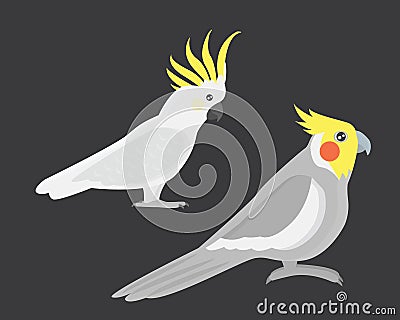 Cartoon tropical cockatoo parrot wild animal bird vector illustration. Vector Illustration