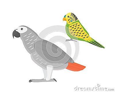 Cartoon tropical parrot wild animal bird vector illustration. Vector Illustration