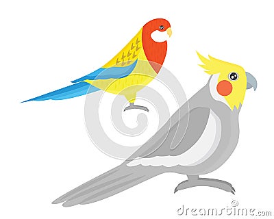 Cartoon tropical parrot wild animal bird vector illustration. Vector Illustration