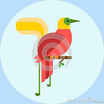 Cartoon tropical peacock wild animal bird vector illustration and wildlife cute feather zoo color nature vivid perch Vector Illustration