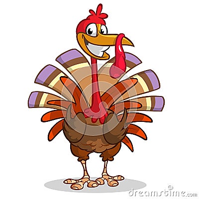 Cartoon turkey. Thanksgiving vector illustration isolated on white background. Vector Illustration
