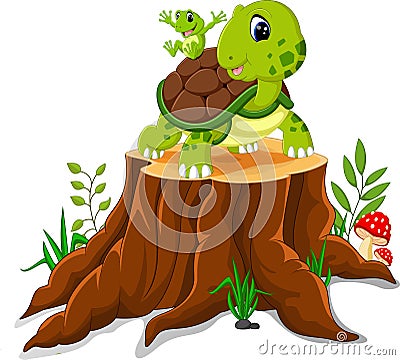 Cartoon turtle and frog posing Vector Illustration