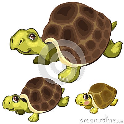 Cartoon turtle on white background. Vector animals Vector Illustration