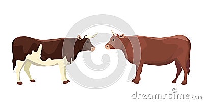 Cartoon vector bull mammal animal isolated Vector Illustration