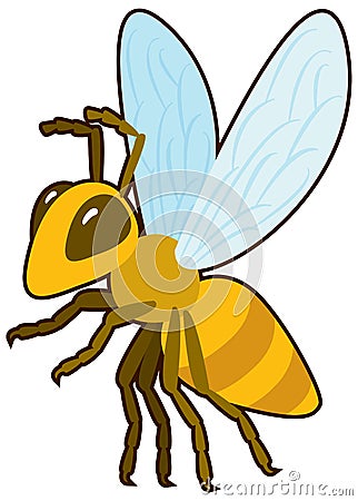 Cartoon vector Honey Bee Vector Illustration