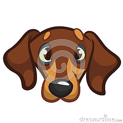 Cartoon Vector Illustration of Cute Purebred Dachshund Dog. Dog head icon. Vector Illustration