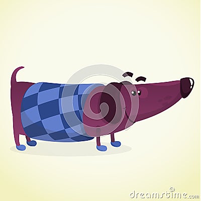 Cartoon Vector Illustration of Cute Purebred Dachshund Dog in sweater Vector Illustration