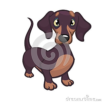 Cartoon Vector Illustration of Cute Purebred Dachshund Dog Vector Illustration