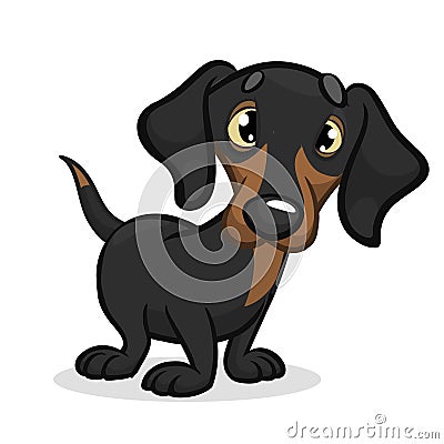 Cartoon Vector Illustration of Cute Purebred Dachshund Dog Vector Illustration