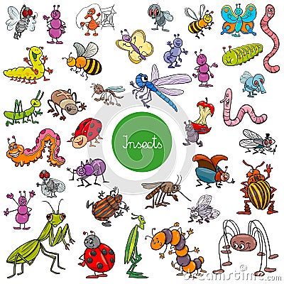 Cartoon insects animal characters big set Vector Illustration