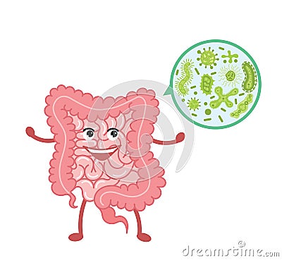 Cartoon vector illustration strong healthy happy Intestine.Stomach character illustration icon design. Microscopic bacterias. micr Vector Illustration