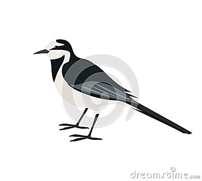 Cartoon wagtail icon on white background. Vector Illustration