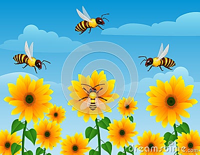 Cartoon wasp flying over sunflower field Vector Illustration