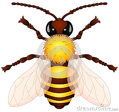 Cartoon wasp isolated white background Vector Illustration