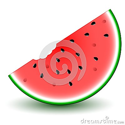 Cartoon Watermelon Slice Vector Illustration