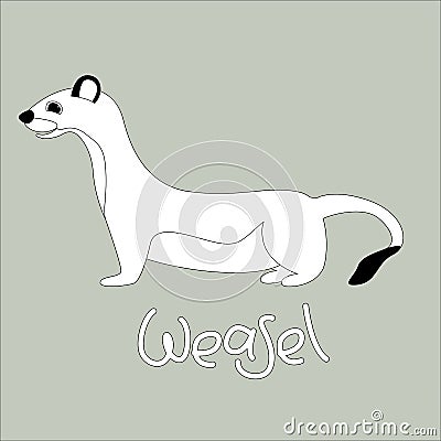 Cartoon weasel vector illustration, linig draw ,profile Vector Illustration