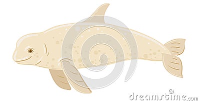 Cartoon whales Beluga. Underwater world, Marine life. Vector illustration of a whale Vector Illustration