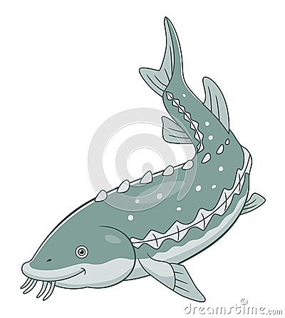 Cartoon white sturgeon Vector Illustration