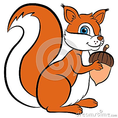 Cartoon wild animals for kids. Little cute squirrel holds acorn Vector Illustration