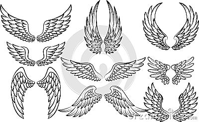 Cartoon wings collection set Vector Illustration