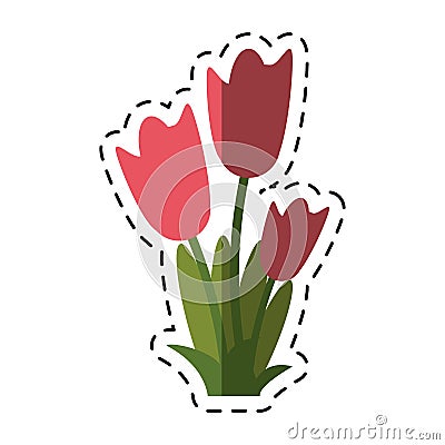 Cartoon women day tulip bunch flower Vector Illustration