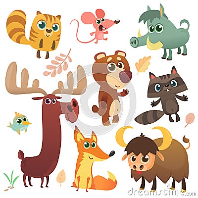 Cartoon woodland animals set. Vector illustrated. Squirrel mouse raccoon boar fox, buffalo bear moose bird Vector Illustration